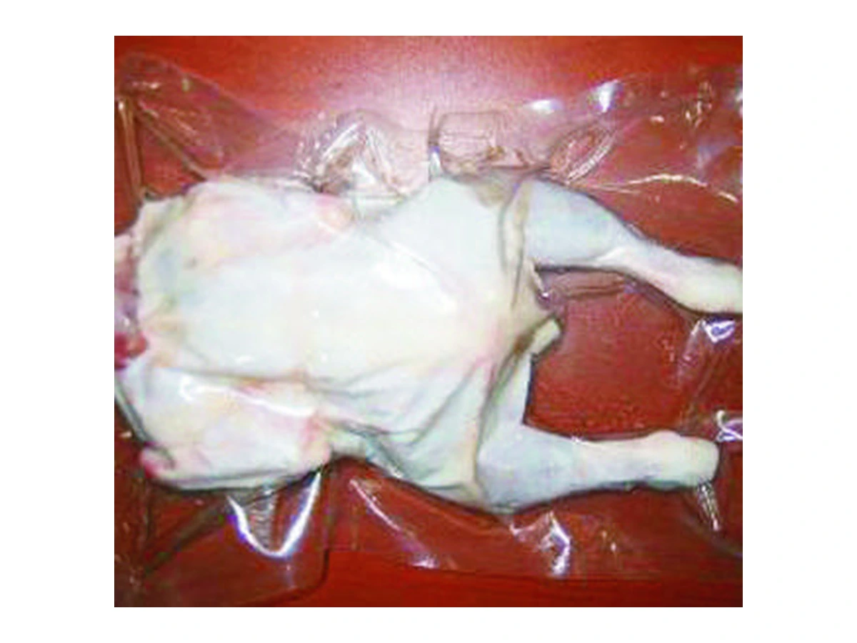 YIJIA Compact Household Vacuum Packaging Machine
